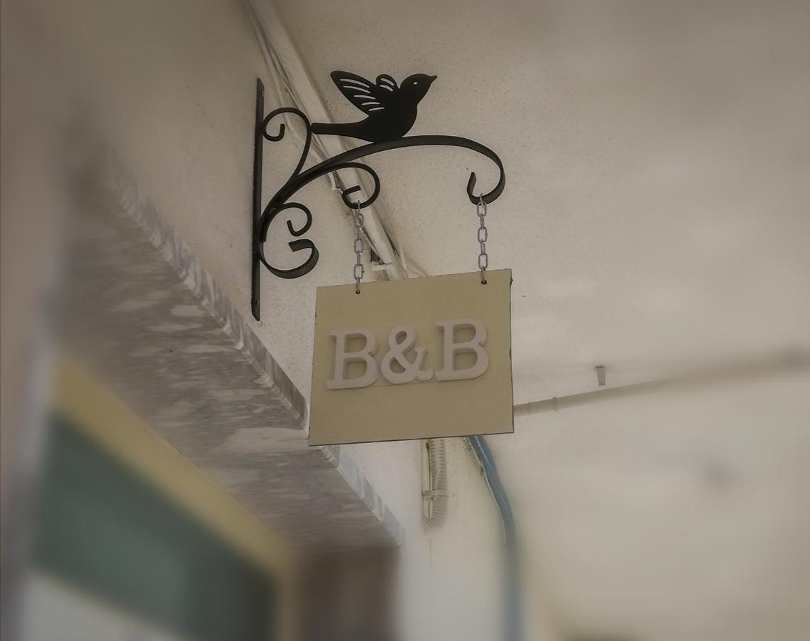 B&B Collemare Scalea Exteriér fotografie