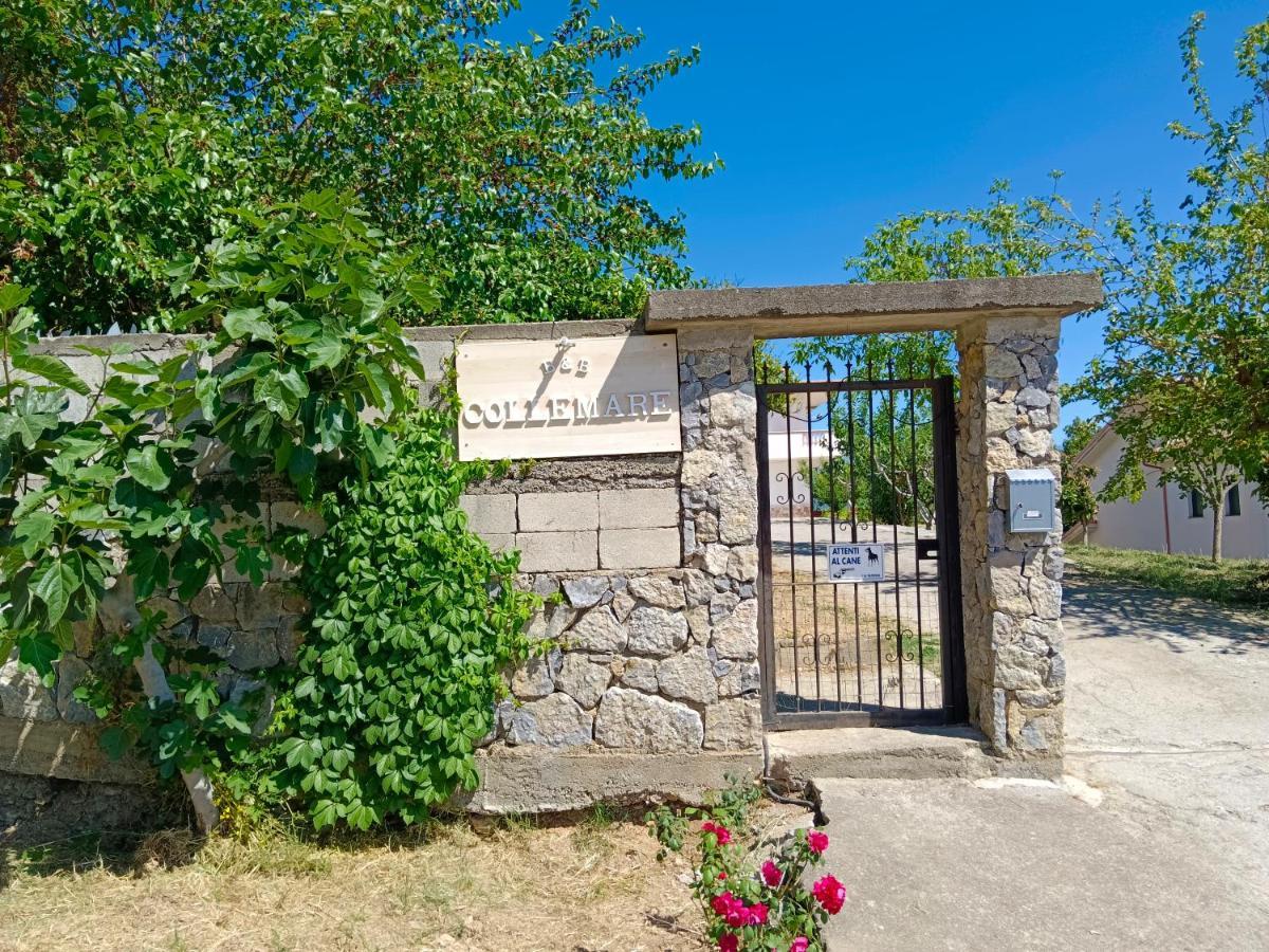 B&B Collemare Scalea Exteriér fotografie